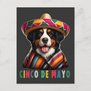 Postal Festiva Cinco De Mayo Bernese Perro con Poncho y Sombrero