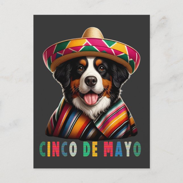 Postal Festiva Cinco De Mayo Bernese Perro con Poncho y Sombrero (Anverso)