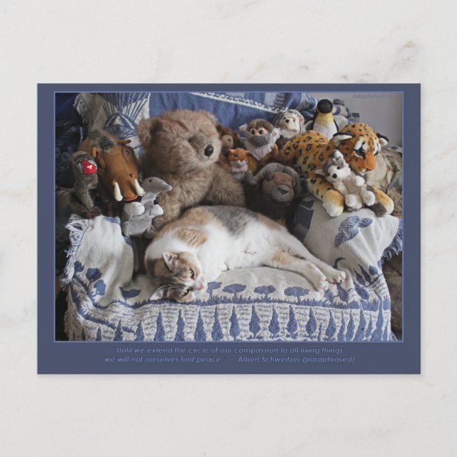 Postal Festiva "Círculo de la Compasión" Miriam Kilmer risingdove (Anverso)