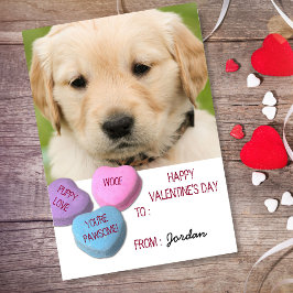 Postal Festiva Clase de foto de perro lindo de San Valentín Coraz
