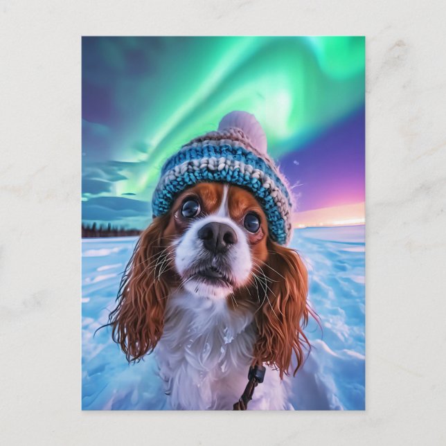 Postal Festiva Cocker Spaniel King Charles con luces del norte (Anverso)