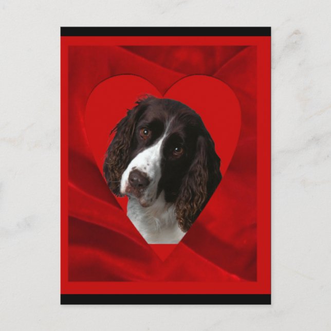 Postal Festiva Cocker Spaniel Valentine (Anverso)