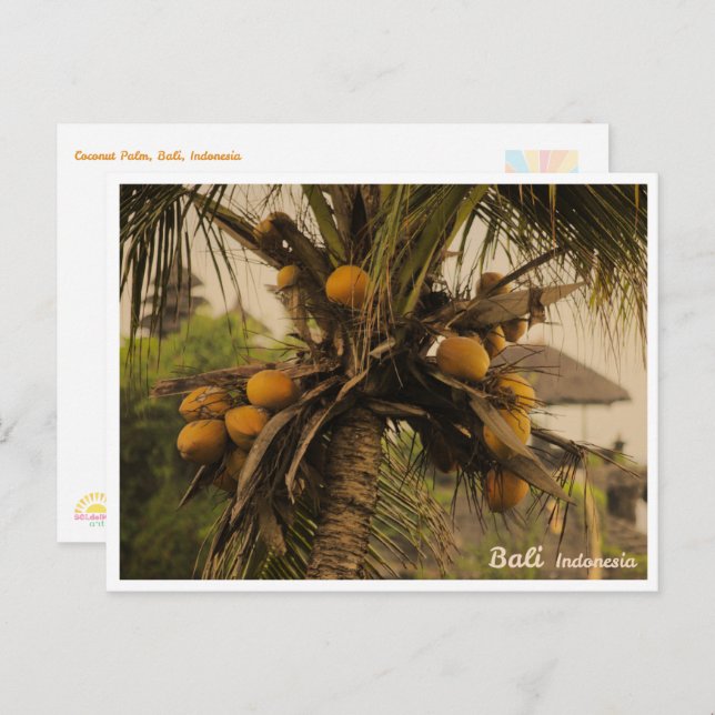 Postal Festiva Coconut Palm, Bali Indonesia - Travel Postcard (Anverso / Reverso)