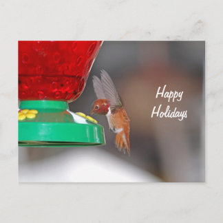 Postal Festiva Colibrí volador y alimentador de colibríes