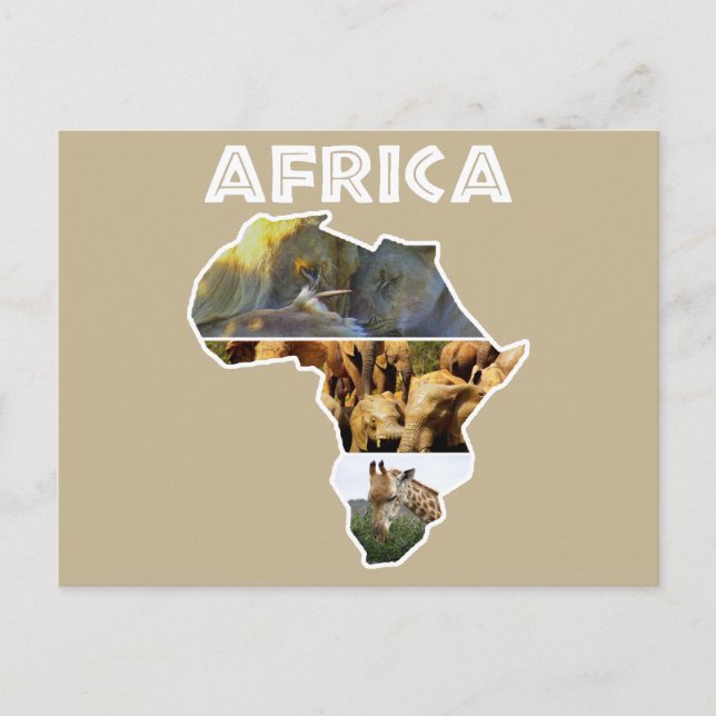 Postal Festiva Collage de Africa Wildlife Continage (Anverso)