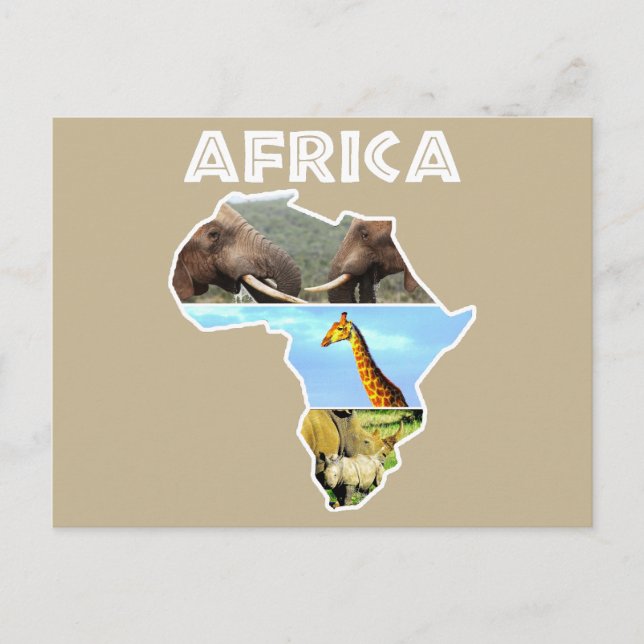 Postal Festiva Collage de Africa Wildlife Continage (Anverso)