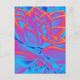 Postal Festiva Color arcoiris Suculento planta
