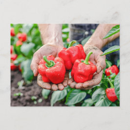 Postal Festiva Coloridos pimientos morrones y chile mix