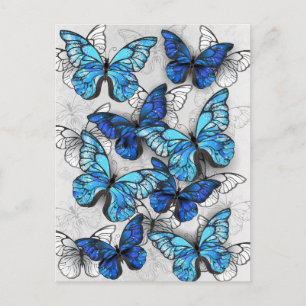 Postal Festiva Composición de las mariposas blancas y azules