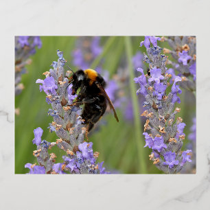 Postal Festiva Con Relieve Metalizado Abeja de buey alimentada con flores de lavanda