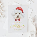 Postal Festiva Con Relieve Metalizado Acuarela Cuida Navidad maltesa Santa Merry<br><div class="desc">Feliz Navidad! Envíe sus deseos de vacaciones a la familia y amigos con esta tarjeta postal de Navidades de personalizable. Cuenta con un perro maltés acuarela que usa un sombrero de Santa. Personalice esta postal de Navidades de Relieve metalizado dorado añadiendo sus detalles. Esta tarjeta de Navidades de perro malteses...</div>