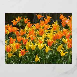 Postal Festiva Con Relieve Metalizado Camas tulipanas amarillas y naranjas