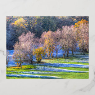 Postal Festiva Con Relieve Metalizado Dartmoor Morning Frost