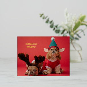 Postal Festiva Con Relieve Metalizado Definitivamente Navidades de la mala foto Mascota