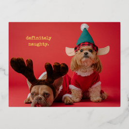 Postal Festiva Con Relieve Metalizado Definitivamente Navidades de la mala foto Mascota