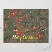 Feliz Navidad Red Berries Festividad de la natural