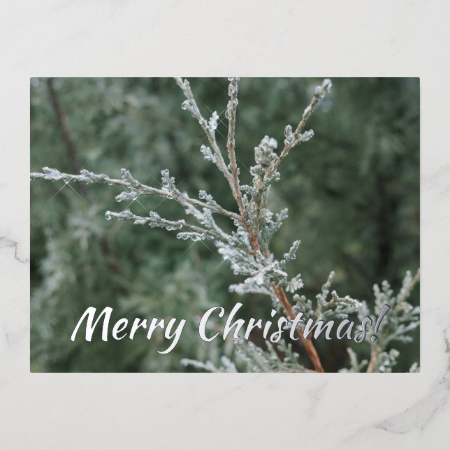 Postal Festiva Con Relieve Metalizado Feliz Navidad Sparkling Frost Evergreen Branch (Anverso)