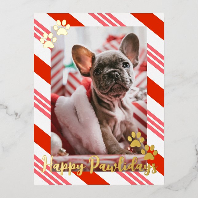 Postal Festiva Con Relieve Metalizado Foto mascota Candy Cane Striped Happy Pawlidays Go (Anverso)