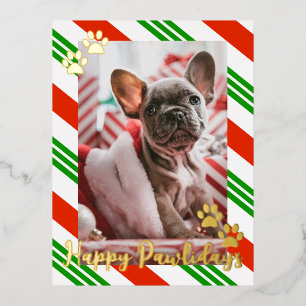 Postal Festiva Con Relieve Metalizado Foto mascota Candy Cane Striped Happy Pawlidays Go