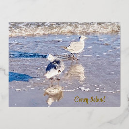 Postal Festiva Con Relieve Metalizado Gaviotas de Coney Island 