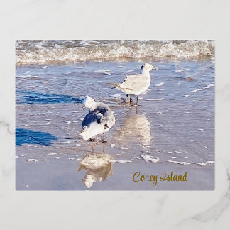 Postal Festiva Con Relieve Metalizado Gaviotas de Coney Island
