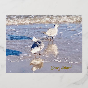 Postal Festiva Con Relieve Metalizado Gaviotas de la Isla Coney