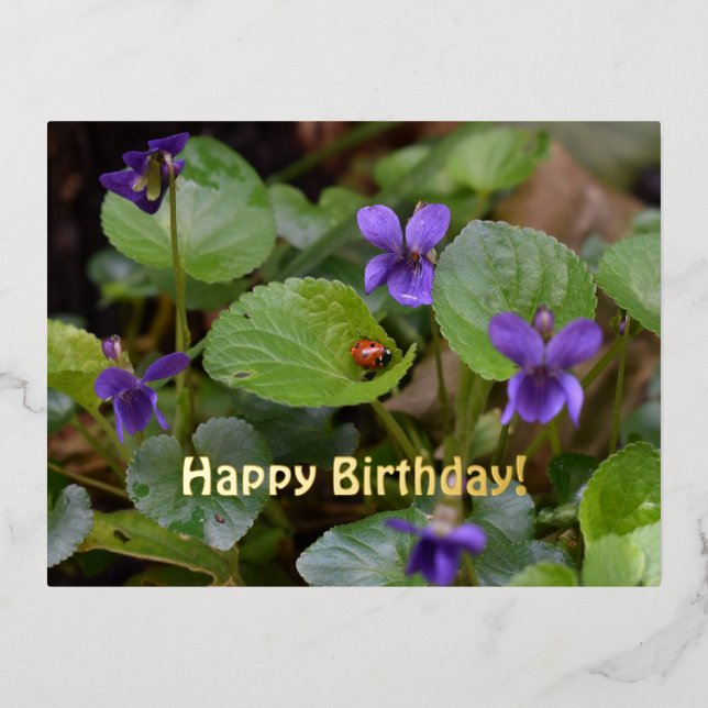 Postal Festiva Con Relieve Metalizado Ladybug sobre las dulces flores violetas (Anverso)