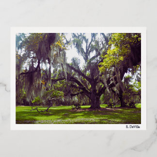 Postal Festiva Con Relieve Metalizado Louisiana Oak Tree Postcard