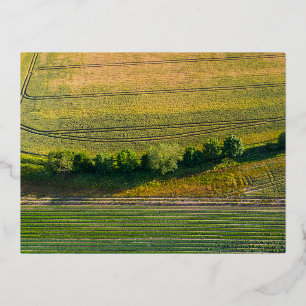 Postal Festiva Con Relieve Metalizado Matriz de patrones de explotaciones agrícolas en i