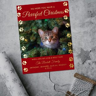 Postal Festiva Con Relieve Metalizado Navidades perfectos Cat Photo Real