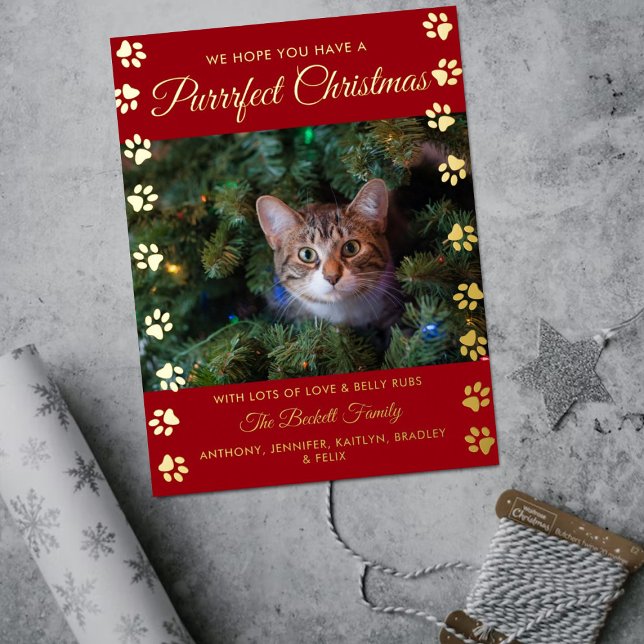 Postal Festiva Con Relieve Metalizado Navidades perfectos | Cat Photo Real (Subido por el creador)