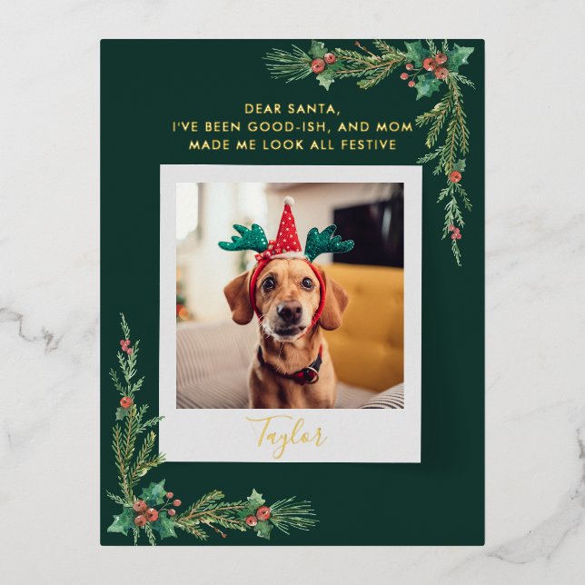 Postal Festiva Con Relieve Metalizado Navidades Personalizados de fotografía de perro fe (Anverso)