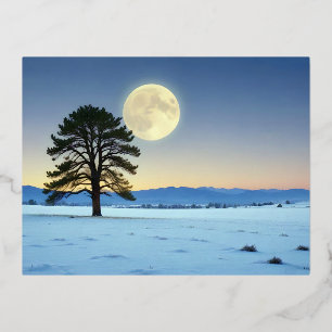 Postal Festiva Con Relieve Metalizado Paisaje pintoresco Invernal Naturaleza de la Luna 