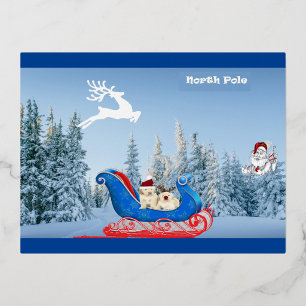 Postal Festiva Con Relieve Metalizado Paseo en Trineo del Polo Norte