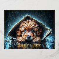 Pequeño perro lindo en el día de la lluvia con ojo