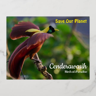 Postal Festiva Con Relieve Metalizado Postcard Cenderawasih