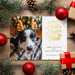 Postal Festiva Con Relieve Metalizado Querido Papá Noel probé la foto del perro mascota<br><div class="desc">Envíe esta linda y divertida tarjeta de vacaciones a su familia y amigos para que sus Navidades se animen. Esta tarjeta presenta una tipografía moderna y de moda que dice "Querido Santa I realmente lo intenté" en letra manuscrita de Relieve metalizado dorado. Añade la imagen de tu perro o gato,...</div>