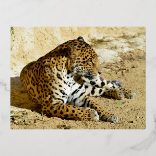 Postal Festiva Con Relieve Metalizado Retrato de perfil de cierre de Jaguar tendido en e