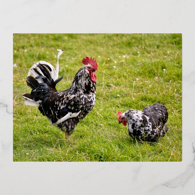 Postal Festiva Con Relieve Metalizado Rooster y gallina sobre la hierba (Anverso)