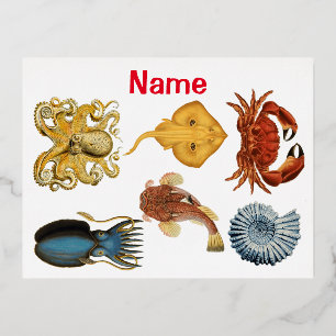 Postal Festiva Con Relieve Metalizado Surtido de Seres Marinos Únicos Thunder_Cove