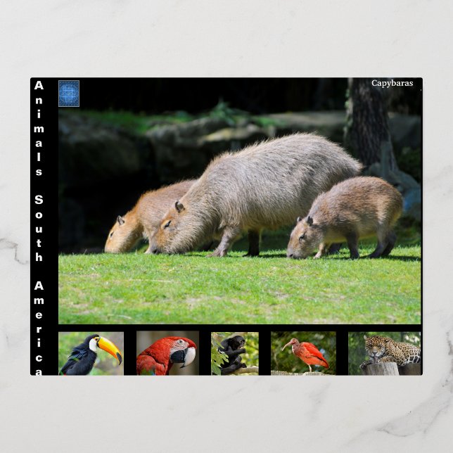 Postal Festiva Con Relieve Metalizado Varios animales de Sudamérica (Anverso)