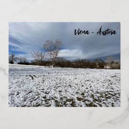 Postal Festiva Con Relieve Metalizado Viena - Áustria