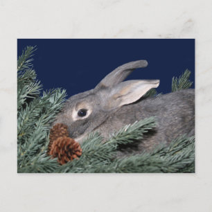 Postal Festiva conejito de navidades