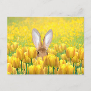 Postal Festiva Conejito de pascua