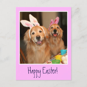 Postal Festiva Conejo de Pascua de Golden Retriever