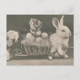 Postal Festiva Conejo de Pascua vintage adorable