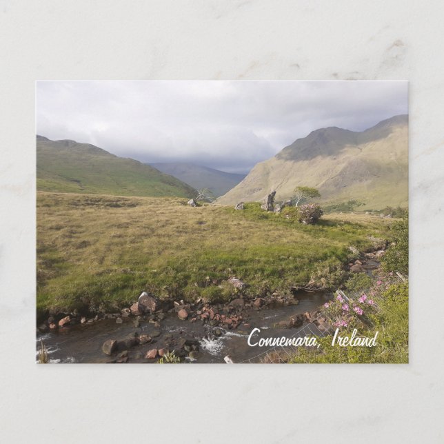 Postal Festiva Connemara Ireland (Anverso)