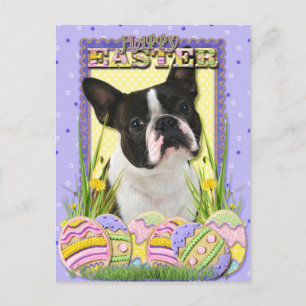 Postal Festiva Cookies de Huevo de Pascua - Boston Terrier