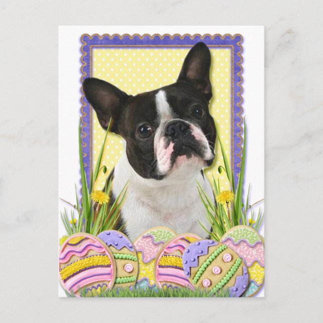 Postal Festiva Cookies de Huevo de Pascua - Boston Terrier (Anverso)
