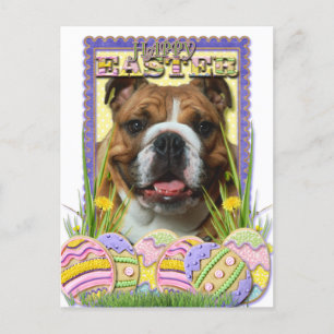Postal Festiva Cookies de Huevo de Pascua - Bulldog
